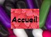 retour accueil